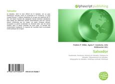Portada del libro de Salvador