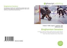 Portada del libro de Binghamton Senators