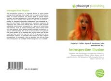 Buchcover von Introspection Illusion