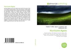 Bookcover of Hurricane Agnes