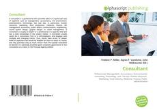 Bookcover of Consultant