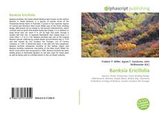Banksia Ericifolia的封面