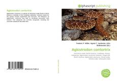 Borítókép a  Agkistrodon contortrix - hoz