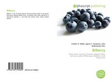 Обложка Bilberry