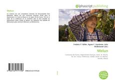 Borítókép a  Melun - hoz