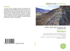 Capa do livro de Mexique 