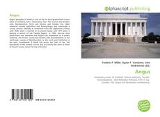 Обложка Angus