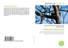 Copertina di American Woodcock