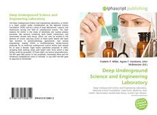 Обложка Deep Underground Science and Engineering Laboratory