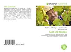Portada del libro de Abel Maldonado