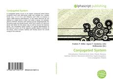 Conjugated System的封面