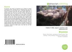 Bryozoa的封面