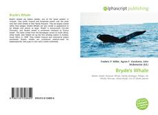 Capa do livro de Bryde's Whale 
