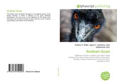 Обложка Andean Guan
