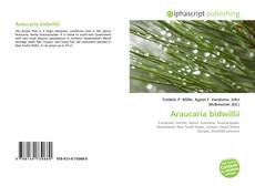 Couverture de Araucaria bidwillii
