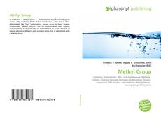 Borítókép a  Methyl Group - hoz