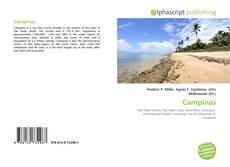 Bookcover of Campinas