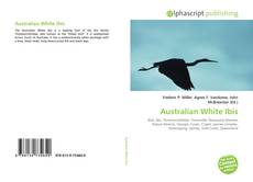 Bookcover of Australian White Ibis