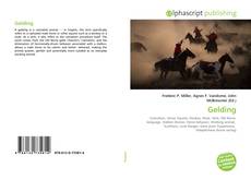 Обложка Gelding