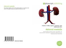 Обложка Adrenal medulla