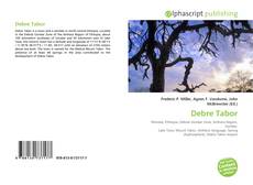 Buchcover von Debre Tabor