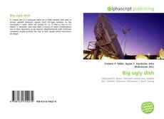 Bookcover of Big ugly dish