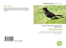 Portada del libro de Black Drongo