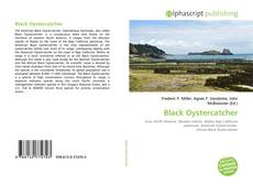 Обложка Black Oystercatcher