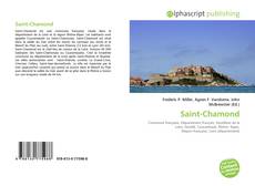 Portada del libro de Saint-Chamond