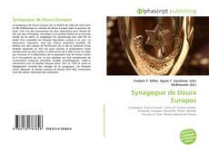 Borítókép a  Synagogue de Doura Europos - hoz