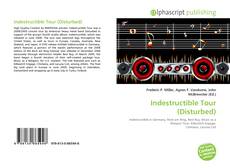 Buchcover von Indestructible Tour (Disturbed)
