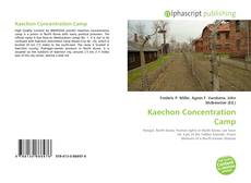 Kaechon Concentration Camp的封面