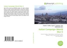 Italian Campaign (World War I)的封面