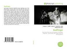 Buchcover von Badfinger