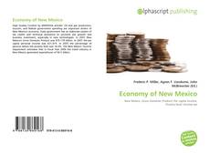 Copertina di Economy of New Mexico