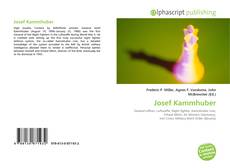 Bookcover of Josef Kammhuber