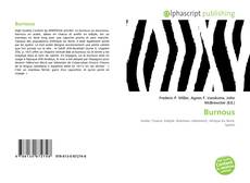 Bookcover of Burnous
