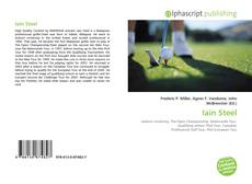 Bookcover of Iain Steel