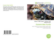 Bookcover of Eastern Box Turtle