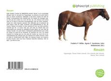 Rouan的封面