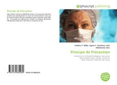 Bookcover of Principe de Précaution