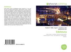 Portada del libro de Eskilstuna
