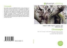 Borítókép a  Chronoxyle - hoz