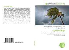 Capa do livro de Cyclone Bijli 