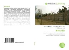 Обложка Bruchsal