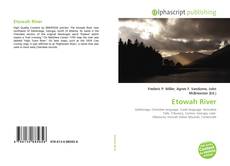 Обложка Etowah River