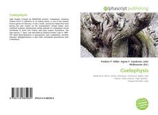 Borítókép a  Coelophysis - hoz