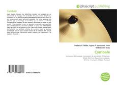 Couverture de Cymbale