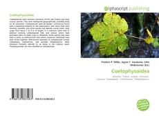 Borítókép a  Coelophysoidea - hoz