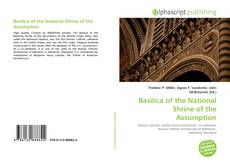 Copertina di Basilica of the National Shrine of the Assumption
